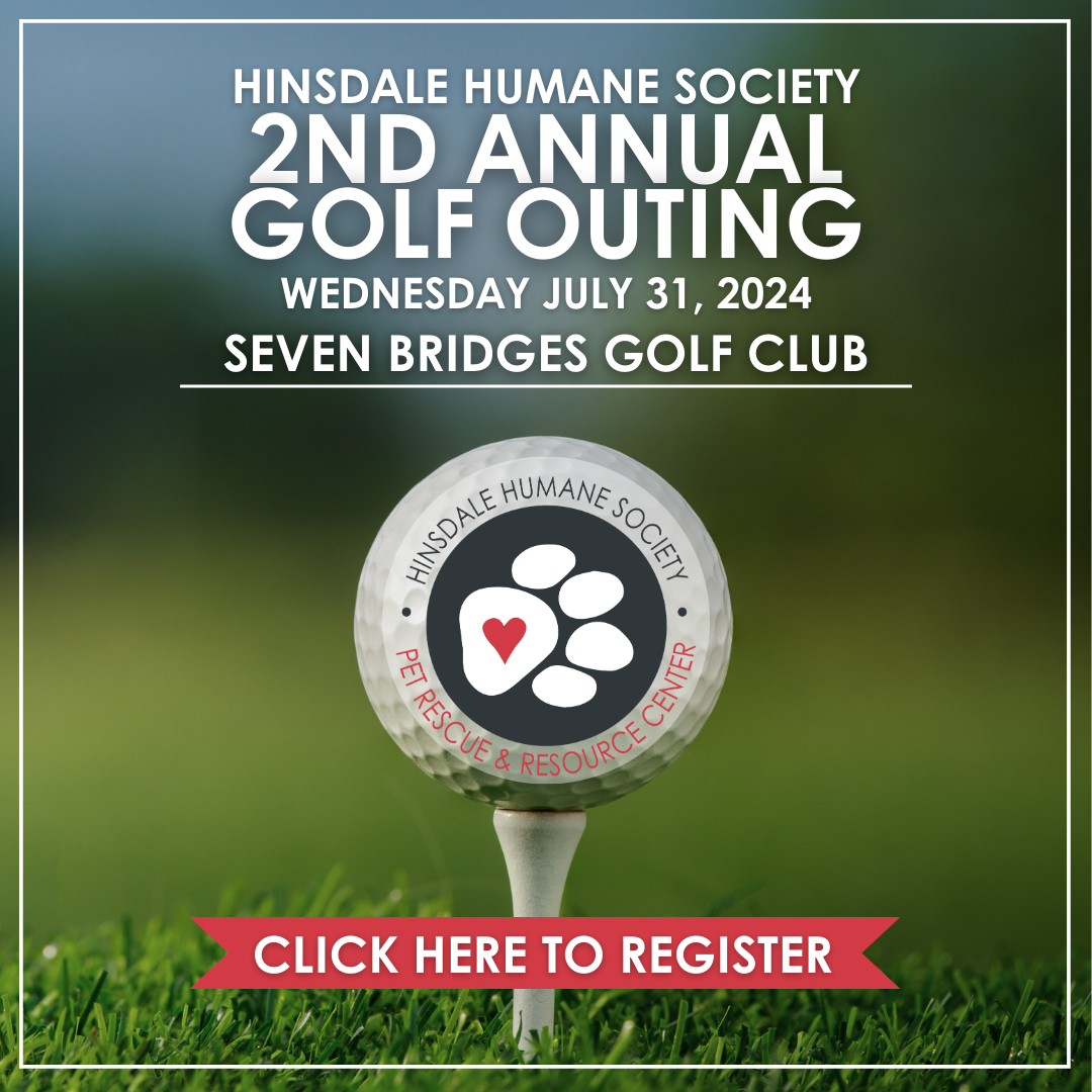 Hinsdale Humane Society Golf Outing