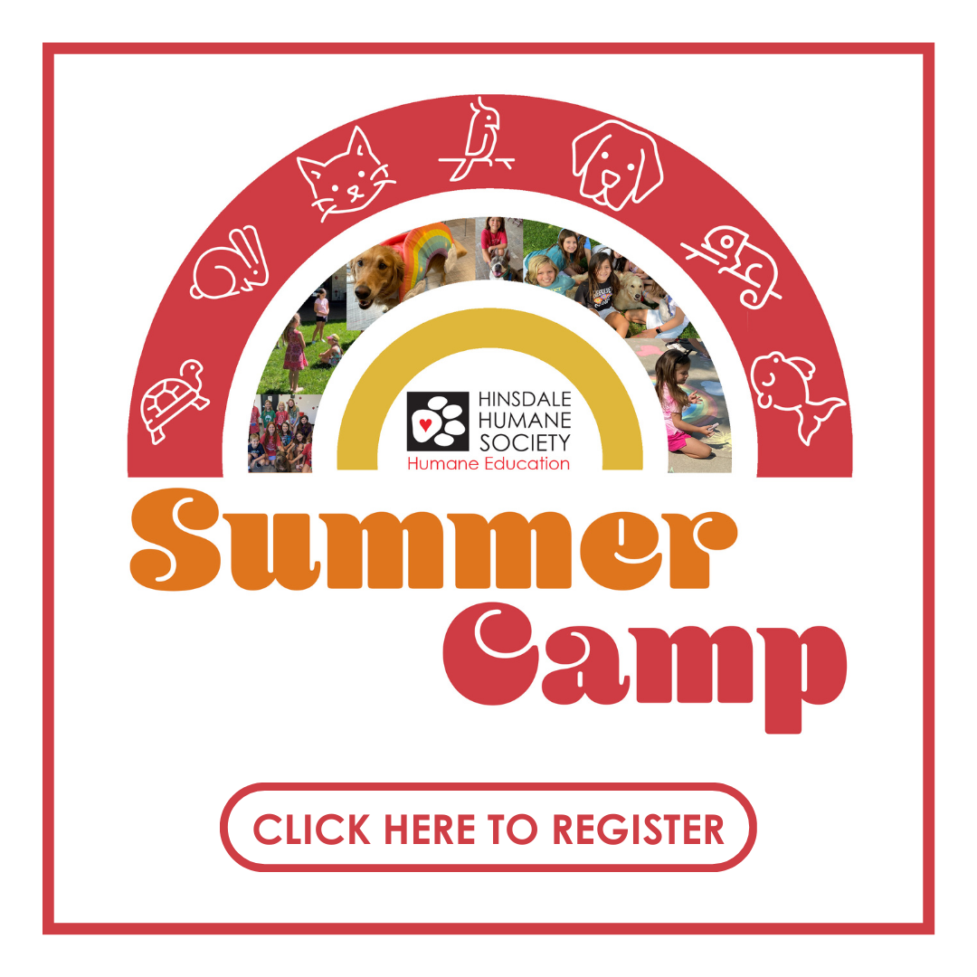 HHS Summer Camp