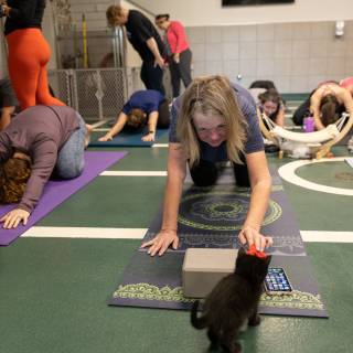 Hhs kitten yoga 10am -24