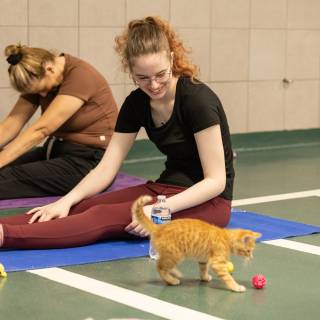 Hhs kitten yoga 10am -59