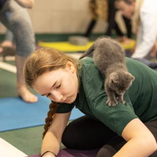 Hhs kitten yoga 11-30am -26