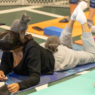 Hhs kitten yoga 11-30am -40