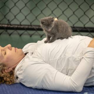 Hhs kitten yoga 11-30am -54