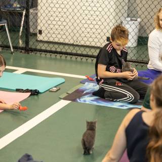 Hhs kitten yoga 11-30am -9