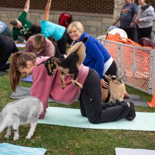 Lauraphotospets hhs goat yoga  -10