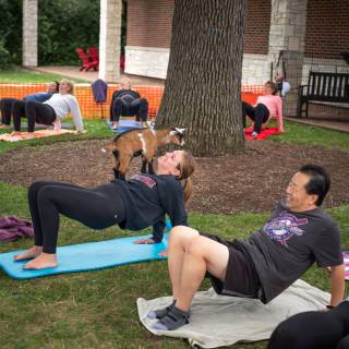 Lauraphotospets hhs goat yoga  -114