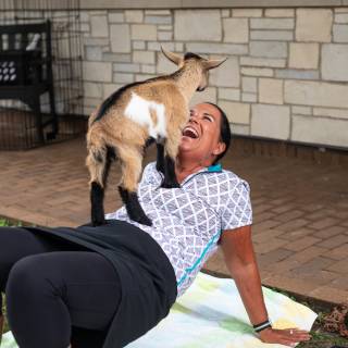 Lauraphotospets hhs goat yoga  -116