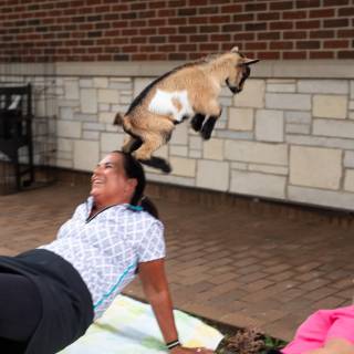 Lauraphotospets hhs goat yoga  -118