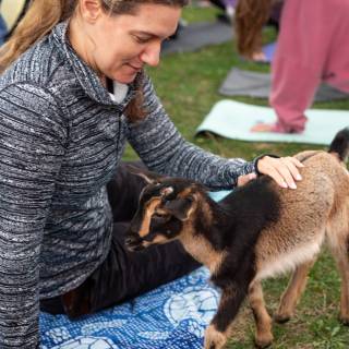 Lauraphotospets hhs goat yoga  -11