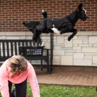 Lauraphotospets hhs goat yoga  -122