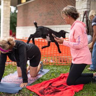 Lauraphotospets hhs goat yoga  -124