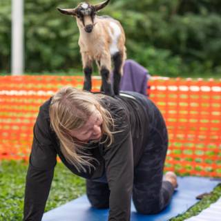 Lauraphotospets hhs goat yoga  -126