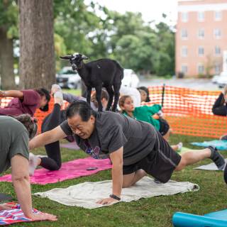 Lauraphotospets hhs goat yoga  -128