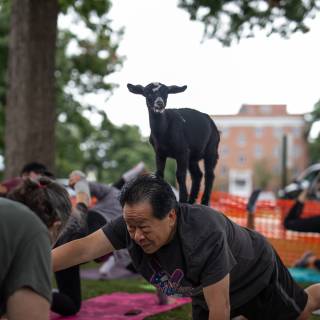 Lauraphotospets hhs goat yoga  -129