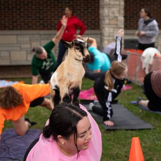 Lauraphotospets hhs goat yoga  -12