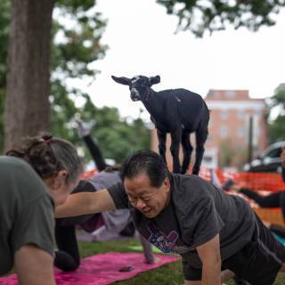 Lauraphotospets hhs goat yoga  -131