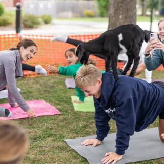 Lauraphotospets hhs goat yoga  -135