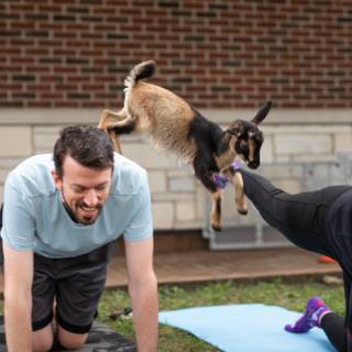 Lauraphotospets hhs goat yoga  -141