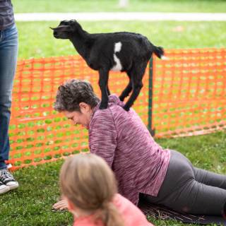 Lauraphotospets hhs goat yoga  -154