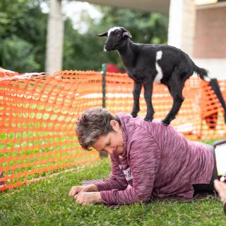 Lauraphotospets hhs goat yoga  -156