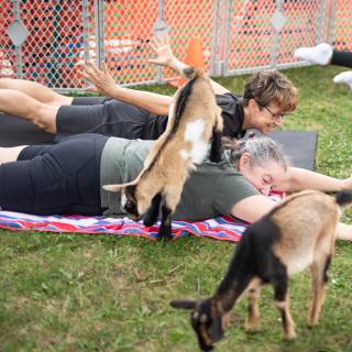 Lauraphotospets hhs goat yoga  -160