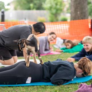 Lauraphotospets hhs goat yoga  -161