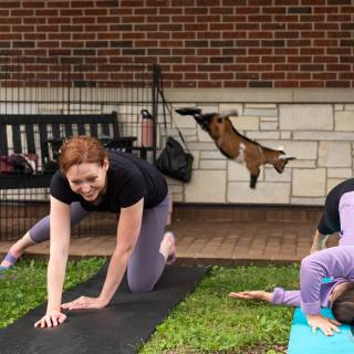 Lauraphotospets hhs goat yoga  -26