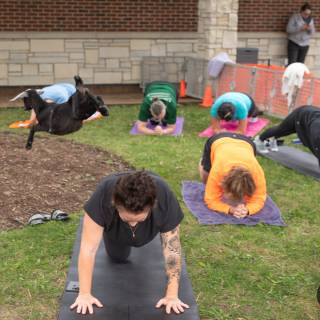 Lauraphotospets hhs goat yoga  -32