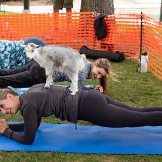 Lauraphotospets hhs goat yoga  -34