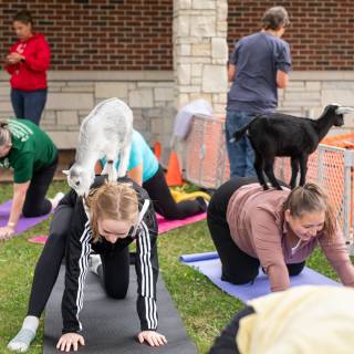 Lauraphotospets hhs goat yoga  -37