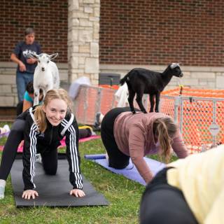 Lauraphotospets hhs goat yoga  -42