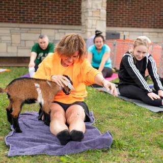 Lauraphotospets hhs goat yoga  -46