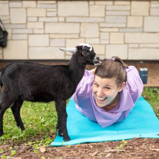 Lauraphotospets hhs goat yoga  -65