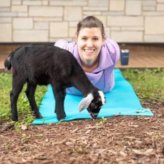 Lauraphotospets hhs goat yoga  -66