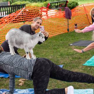 Lauraphotospets hhs goat yoga  -6