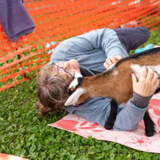 Lauraphotospets hhs goat yoga  -70