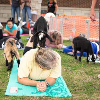 Lauraphotospets hhs goat yoga  -72