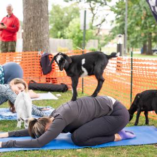 Lauraphotospets hhs goat yoga  -76