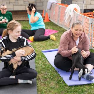 Lauraphotospets hhs goat yoga  -84