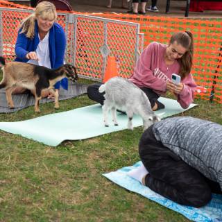 Lauraphotospets hhs goat yoga  -8