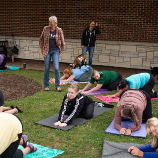 Lauraphotospets hhs goat yoga  -9