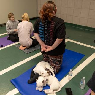 Hhs puppy yoga -100