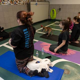 Hhs puppy yoga -101