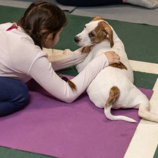 Hhs puppy yoga -102