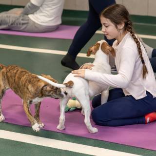 Hhs puppy yoga -103