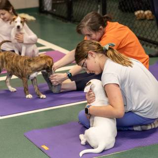 Hhs puppy yoga -104