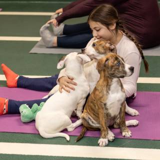 Hhs puppy yoga -107