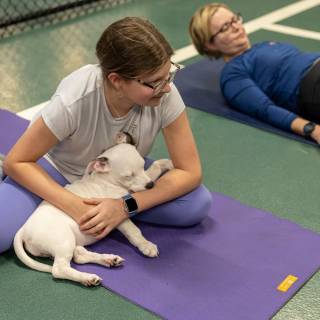 Hhs puppy yoga -108