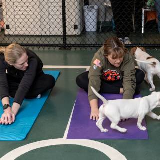 Hhs puppy yoga -10