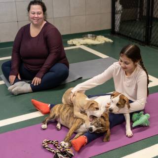 Hhs puppy yoga -110